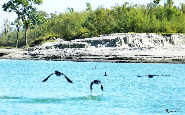 3. Dibru Saikhowa National Park